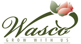 City of Wasco logo